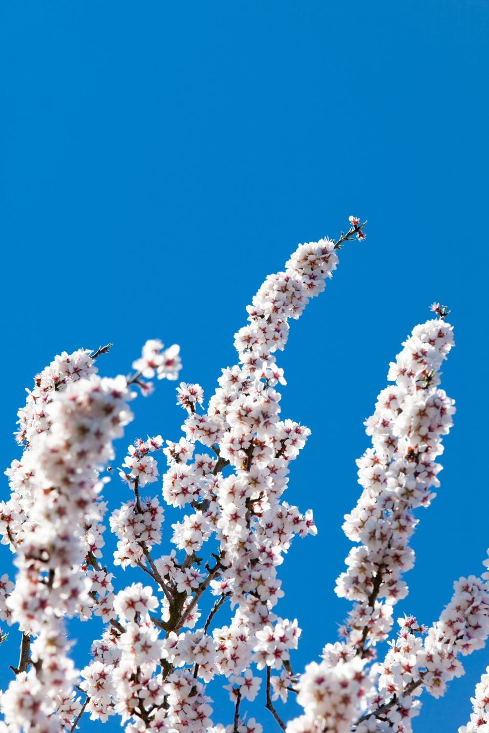 40 BEST PLACES TO TRAVEL IN FEBRUARY