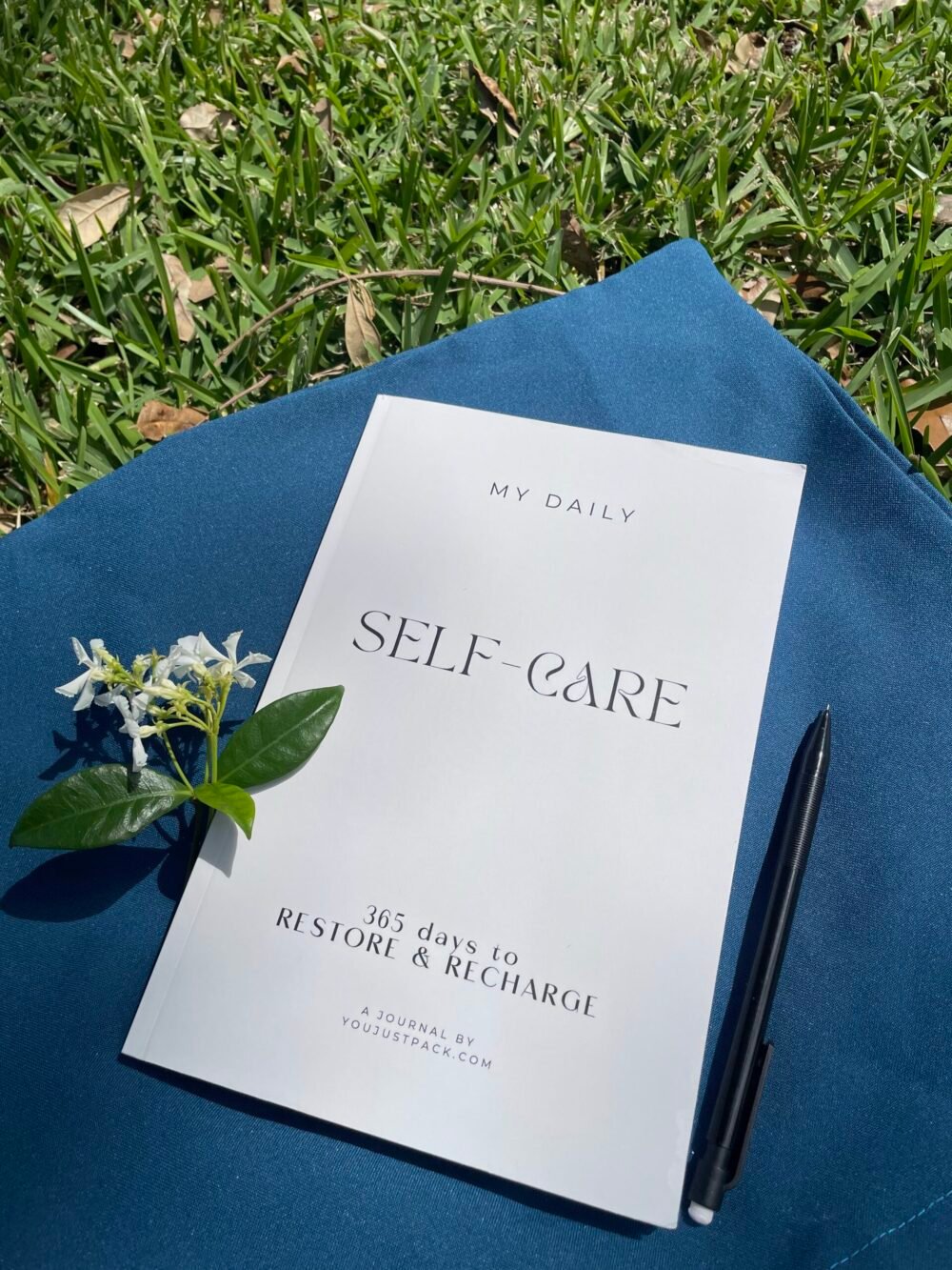 Self-Care Journal (Paperback)